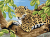 Leopard In Tree - Junior Large Paint By Number Kit 15.25"X11.25"