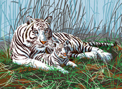 White Tigers In The Mist - Junior Large Paint By Number Kit 15.25"X11.25"