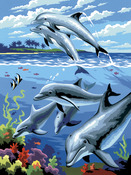 Dolphins - Junior Small Paint By Number Kit 8.75"X11.75"