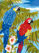Parrots - Junior Small Paint By Number Kit 8.75"X11.75"