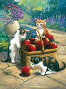 Bumper Crop - Junior Small Paint By Number Kit 8.75"X11.75"