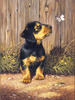 Dachshund Puppy - Junior Small Paint By Number Kit 8.75"X11.75"