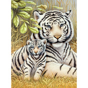 White Tiger Pair - Junior Small Paint By Number Kit 8.75"X11.75"