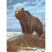Grizzly Bear - Junior Small Paint By Number Kit 8.75"X11.75"