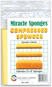 3"X4" - Compressed Sponges 4/Pkg