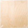 Wood Canvas Panel - 10"X10"