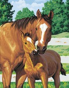 Mother's Pride - Paint By Number Kit 11"X14"