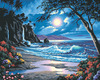 Moonlit Paradise - Paint By Number Kit 20"X16"