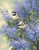Chickadees & Lilacs - Paint By Number Kit 11"X14"