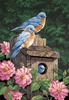 Garden Bluebirds - Paint By Number Kit 14"X20"