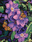 Clematis & Butterflies - Paint By Number Kit 11"X14"