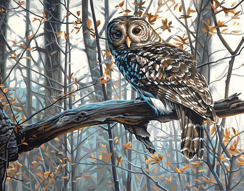 Dimensions > Wise Owl - Paint By Number Kit 14X11: A Cherry On Top