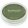 Chromium Oxide Green Shade - PanPastel Ultra Soft Artist Pastels 9ml