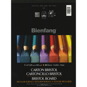 20 Sheets - Bienfang Bristol Board Paper Pad 9"X12"