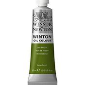 Sap Green - Winton Oil Paint 37ml/Tube