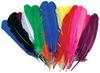 Assorted - Value Pack Quill Feathers 25/Pkg