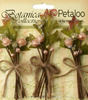 Peach Sugared Berry Clusters - Botanica - Petaloo
