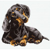 9.75"X9.75" 16 Count - Dachshund Counted Cross Stitch Kit