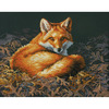 14"X11" 14 Count - Sunlit Fox Counted Cross Stitch Kit