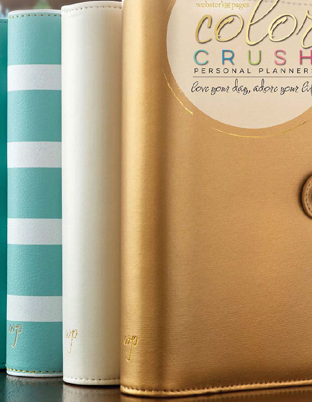 Websters Pages > Color Crush Planners > Teal & White ...