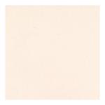 Pale Rose Card Shoppe 12 x 12 Cardstock - Bazzill