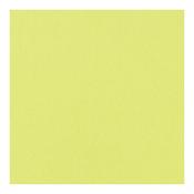 Citron Smoothies Cardstock - Bazzill