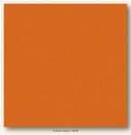 Autumn Leaves Heavyweight My Colors Cardstock - Photoplay