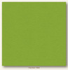 Crisp Green Heavyweight My Colors Cardstock - Photoplay