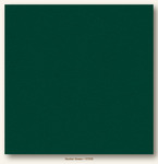 Hunter Green Heavyweight My Colors Cardstock - Photoplay