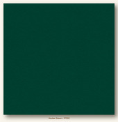Hunter Green Heavyweight My Colors Cardstock - Photoplay
