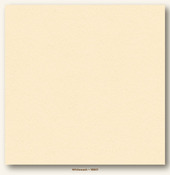 Whitewash Heavyweight My Colors Cardstock - Photoplay