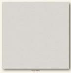 Shale Heavyweight My Colors Cardstock - Photoplay