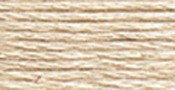 Light Beige Gray - DMC Pearl Cotton Skein Size 3 16.4yd