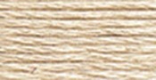 Light Beige Grey - DMC Pearl Cotton Skein Size 5 27.3yd