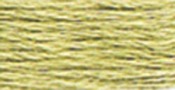 Light Khaki Green - DMC Pearl Cotton Skein Size 5 27.3yd