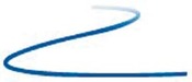 Blue - Sharpie Fine Point Permanent Marker 
