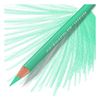 True Green - Prismacolor Premier Colored Pencil
