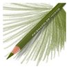 Olive Green - Prismacolor Premier Colored Pencil 