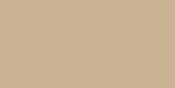 Fawn - Opaque - Americana Acrylic Paint 2oz