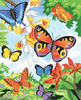 Bright Butterflies - Color Pencil By Number Kit 8.75"X11.75"