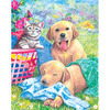Wash Day Fun - Color Pencil By Number Kit 8.75"X11.75"