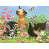Kittens - Color Pencil By Number Kit 8.75"X11.75"