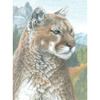 Cougar - Color Pencil By Number Kit 8.75"X11.75"