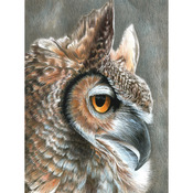 Sepia Owl - Color Pencil By Number Kit 8.75"X11.75"