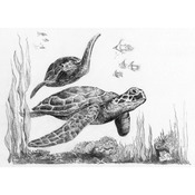 Sea Turtles - Sketching Made Easy Mini Kit 5"X7"