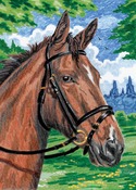 Horse - Mini Color Pencil By Number Kit 5"X7"