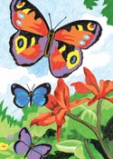 Bright Butterflies - Mini Color Pencil By Number Kit 5"X7"