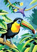 Tropical Birds - Mini Color Pencil By Number Kit 5"X7"