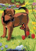 Puppy & Butterfly - Mini Color Pencil By Number Kit 5"X7"