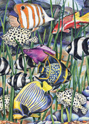 Tropical Fish - Mini Color Pencil By Number Kit 5"X7"